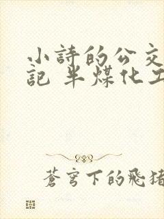 小诗的公交车日记 半煤化工