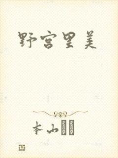 野宫里美封面