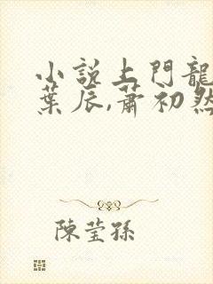 小说上门龙婿,叶辰,萧初然封面