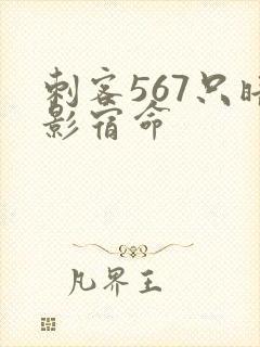 刺客567只暗影宿命