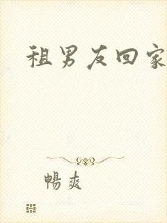 租男友回家过年封面