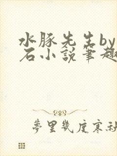 水豚先生by顽石小说笔趣阁