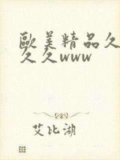 欧美精品久久久久久www