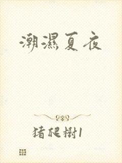 潮湿夏夜