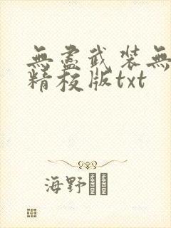 无尽武装无删减精校版txt