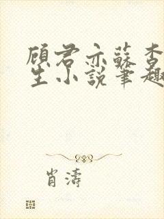 顾君亦苏杳国防生小说笔趣阁