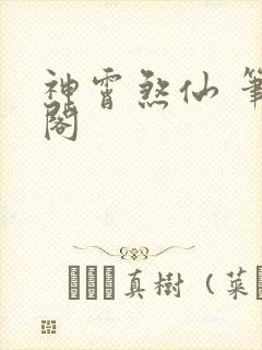 神霄煞仙 笔趣阁封面