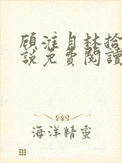 顾淮月林拾安小说免费阅读最新章节