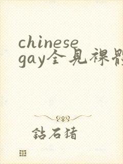 chinesegay全见裸体
