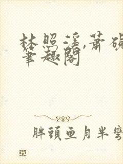 林照溪,萧砚川笔趣阁