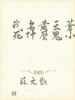 我名黄天苍天已死什么鬼小说笔趣阁无删减封面