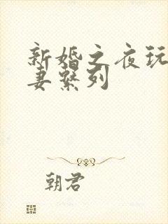 新婚之夜玩弄人妻系列封面