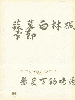 苏慕白林枫最新章节