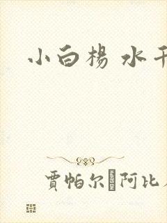 小白杨 水千丞