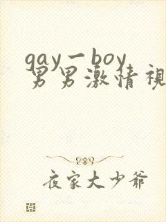 gay一boy男男激情视频
