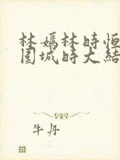 林嫣林时恒烟火围城时大结局笔趣阁