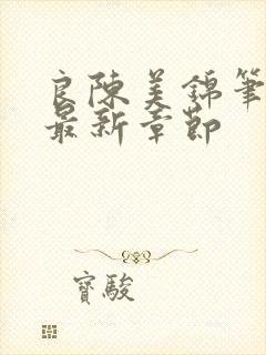 良陈美锦笔趣阁最新章节封面