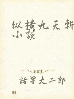纵横九天斩神诀小说