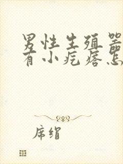 男性生殖器根部有小疙瘩怎么回事