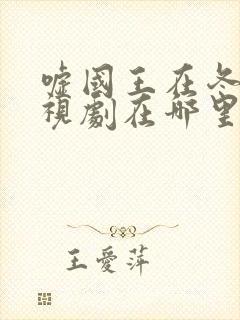 嘘国王在冬眠电视剧在哪里看封面