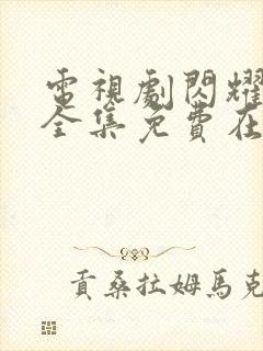 电视剧闪耀的她全集免费在线观看