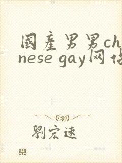 国产男男chinese gay网站