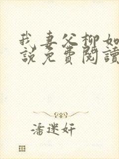 我妻父柳如烟小说免费阅读封面