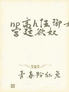 np高h伍御女宫廷欲奴