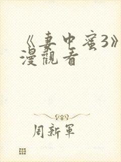 《妻中蜜3》动漫观看