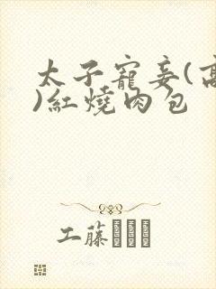 太子宠妾(高肉)红烧肉包