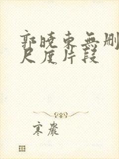 郭晓东无删减大尺度片段封面