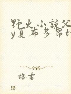 野火小说父女by夏布多昂txt封面