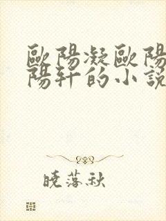 欧阳凝欧阳雷欧阳轩的小说叫啥