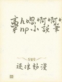 高h嗯啊啊啊快穿np小说笔趣阁