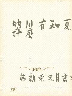 明川有知夏讲的什么封面