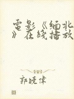 电影《缅北恶魔》在线播放免费观看