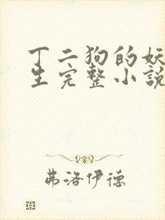 丁二狗的妖孽人生完整小说txt