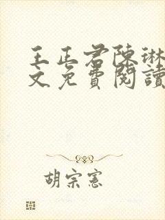 王正君陈琳洁全文免费阅读最新章节