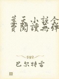 叶天小说全文免费阅读无弹窗