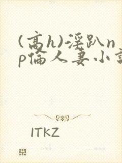 (高h)淫趴np伦人妻小说封面