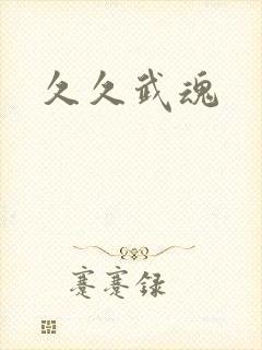 久久武魂封面