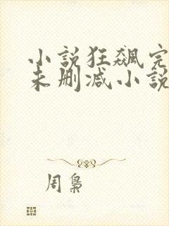 小说狂飙完整版未删减小说