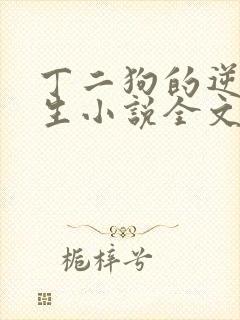 丁二狗的逆袭人生小说全文阅读