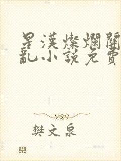 星汉灿烂关心则乱小说免费阅读全文无窗口