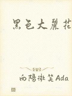 黑色大丽花图片