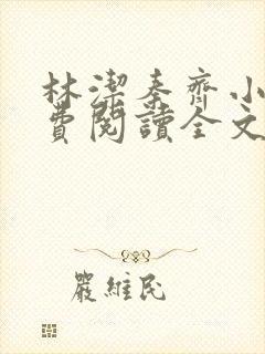 林洁秦齐小说免费阅读全文最新章节封面