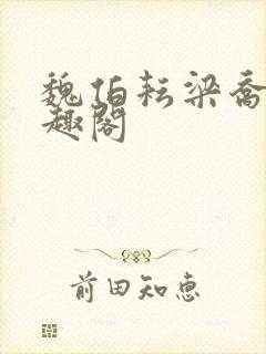 魏伯耘梁乔婷笔趣阁封面