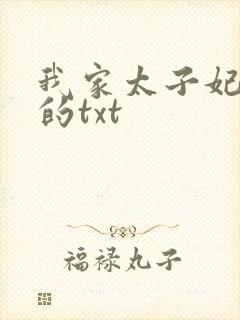 我家太子妃超凶的txt