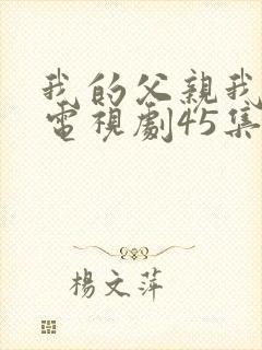 我的父亲我的兵电视剧45集免费观看