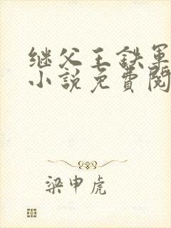 继父王铁军周梅小说免费阅读封面